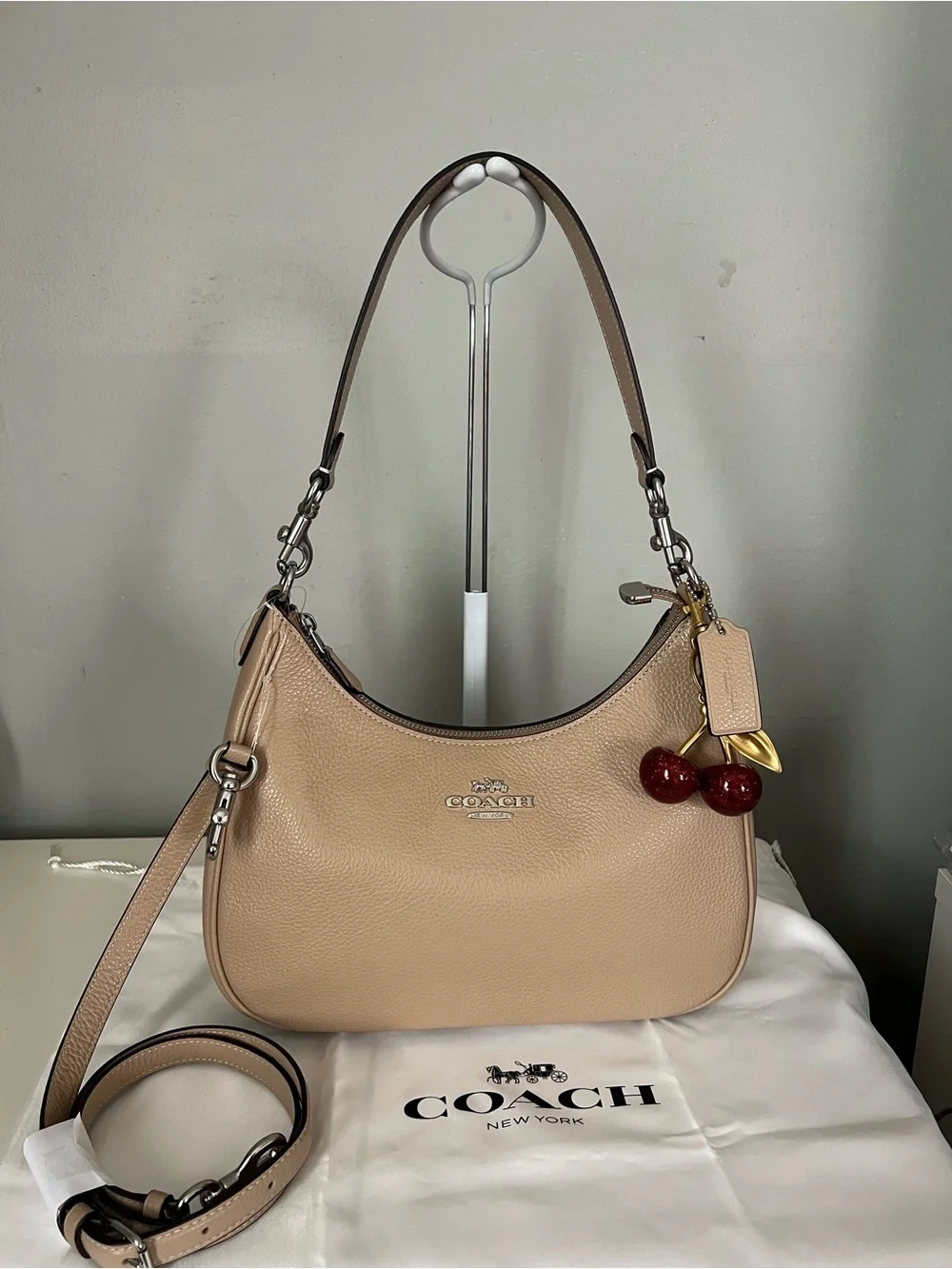 Coach Teri Hobo Bag